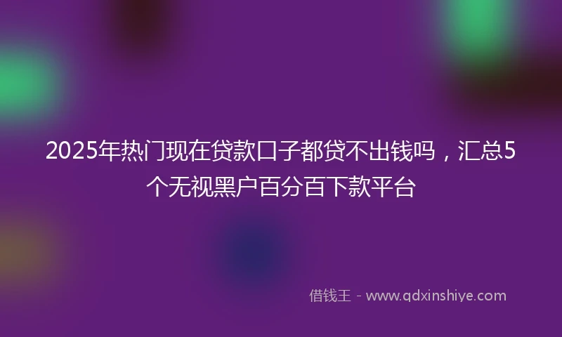 2025年热门现在贷款口子都贷不出钱吗，汇总5个无视黑户百分百下款平台