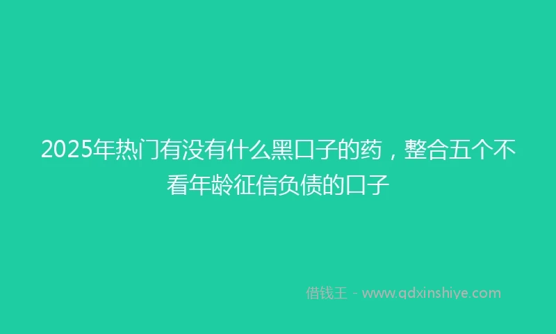 2025年热门有没有什么黑口子的药，整合五个不看年龄征信负债的口子