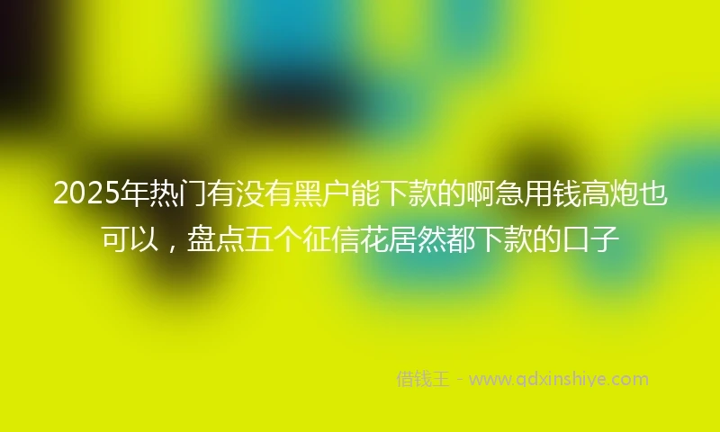 2025年热门有没有黑户能下款的啊急用钱高炮也可以，盘点五个征信花居然都下款的口子