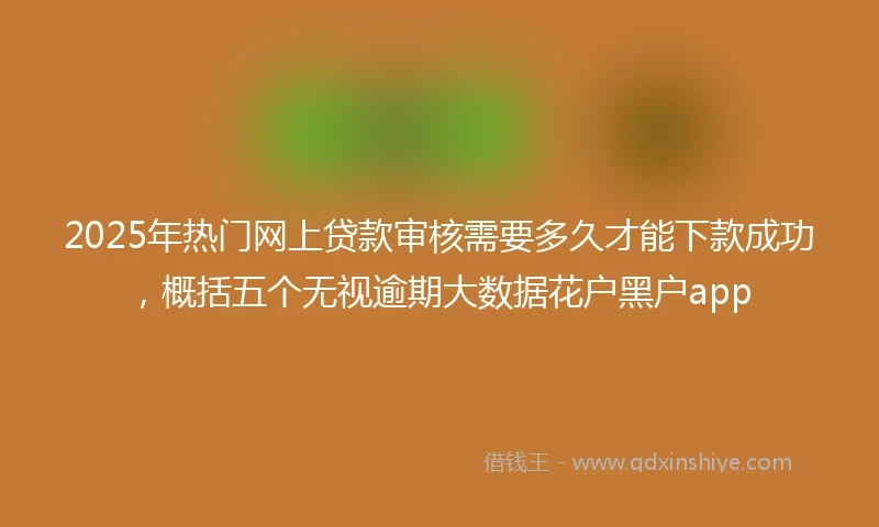 2025年热门网上贷款审核需要多久才能下款成功，概括五个无视逾期大数据花户黑户app