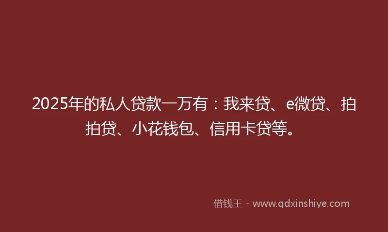 2025年的私人贷款一万有：我来贷、e微贷、拍拍贷、小花钱包、信用卡贷等。