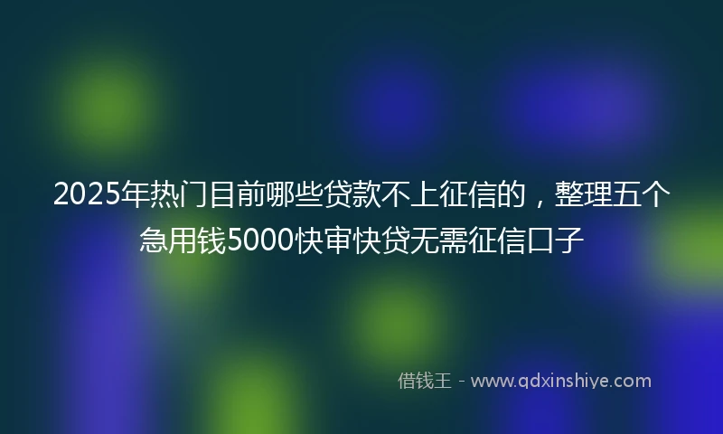 2025年热门目前哪些贷款不上征信的，整理五个急用钱5000快审快贷无需征信口子