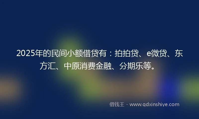 2025年的民间小额借贷有：拍拍贷、e微贷、东方汇、中原消费金融、分期乐等。