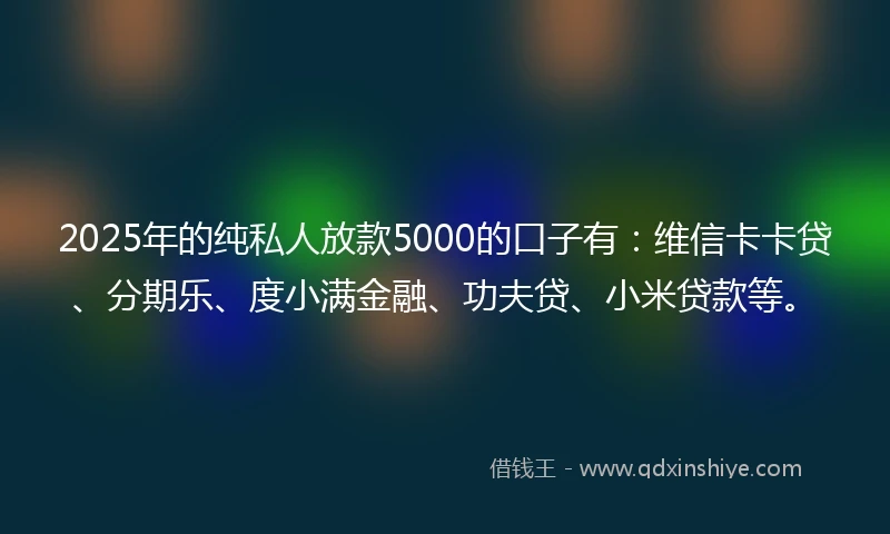 2025年的纯私人放款5000的口子有：维信卡卡贷、分期乐、度小满金融、功夫贷、小米贷款等。
