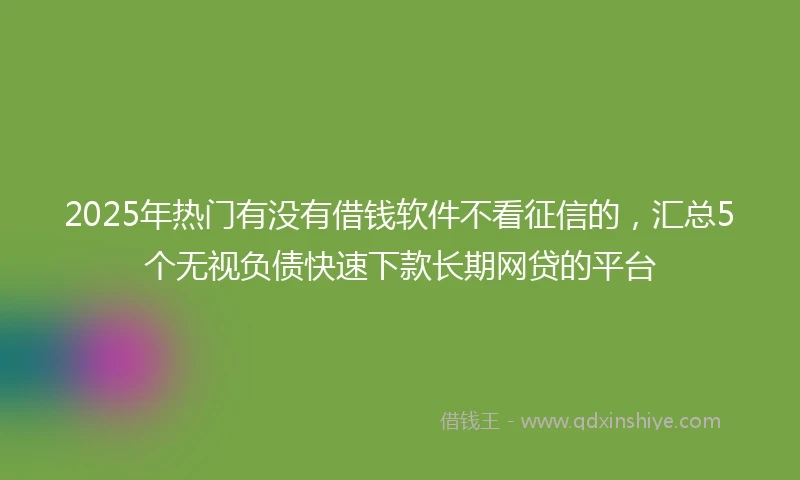 2025年热门有没有借钱软件不看征信的，汇总5个无视负债快速下款长期网贷的平台