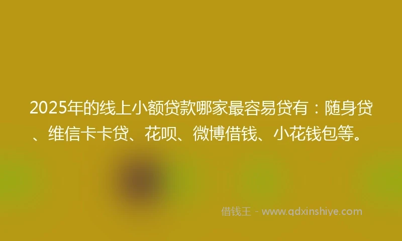 2025年的线上小额贷款哪家最容易贷有：随身贷、维信卡卡贷、花呗、微博借钱、小花钱包等。
