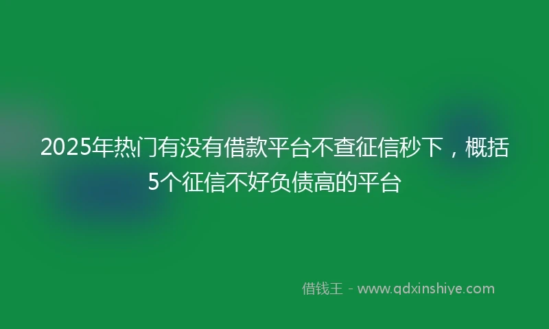 2025年热门有没有借款平台不查征信秒下，概括5个征信不好负债高的平台