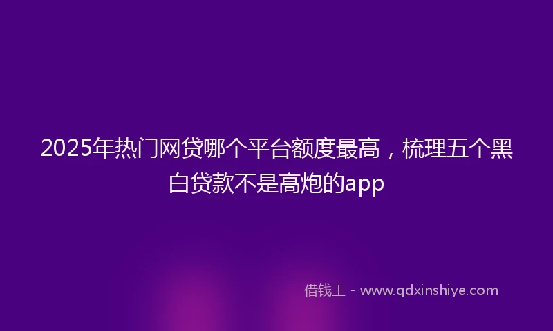 2025年热门网贷哪个平台额度最高，梳理五个黑白贷款不是高炮的app