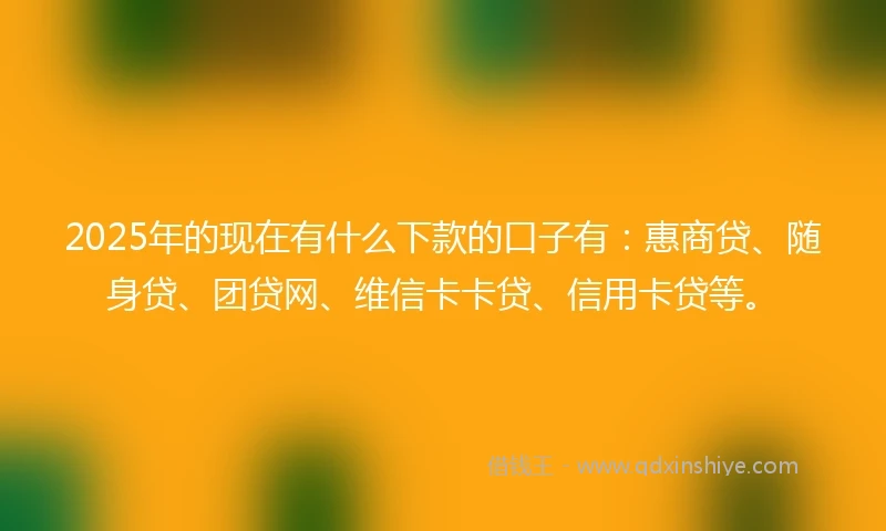 2025年的现在有什么下款的口子有：惠商贷、随身贷、团贷网、维信卡卡贷、信用卡贷等。