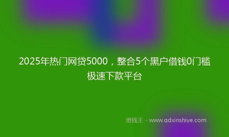 2025年热门网贷5000,整合5个黑户借钱0门槛极速下款平台