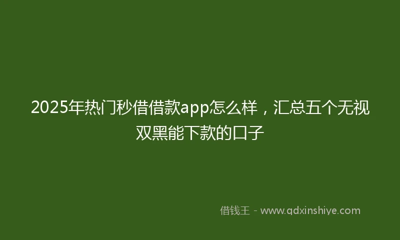 2025年热门秒借借款app怎么样，汇总五个无视双黑能下款的口子