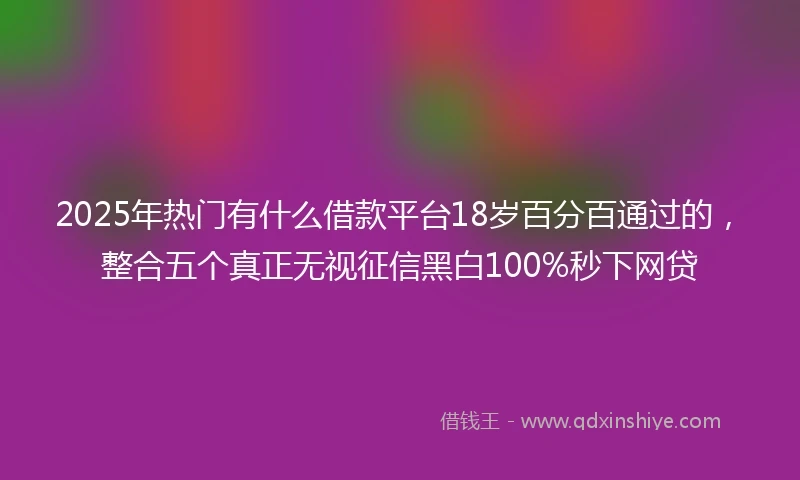 2025年热门有什么借款平台18岁百分百通过的，整合五个真正无视征信黑白100%秒下网贷