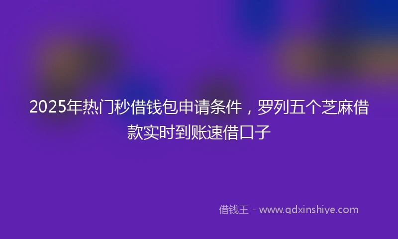 2025年热门秒借钱包申请条件，罗列五个芝麻借款实时到账速借口子