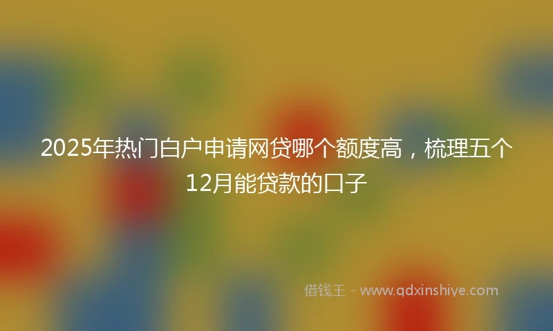 2025年热门白户申请网贷哪个额度高，梳理五个12月能贷款的口子