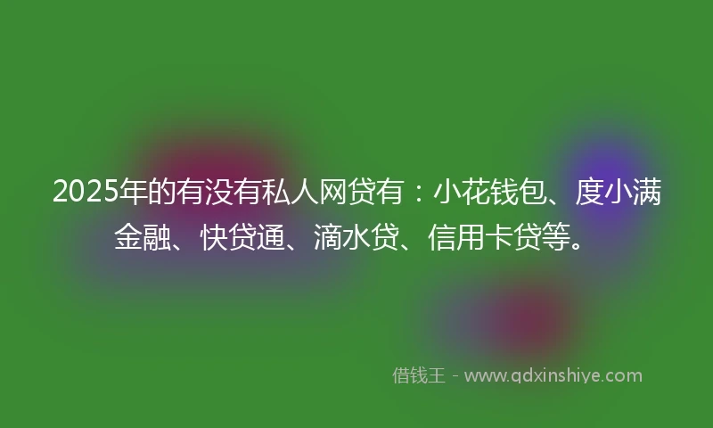 2025年的有没有私人网贷有：小花钱包、度小满金融、快贷通、滴水贷、信用卡贷等。