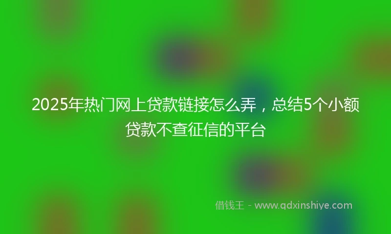 2025年热门网上贷款链接怎么弄，总结5个小额贷款不查征信的平台
