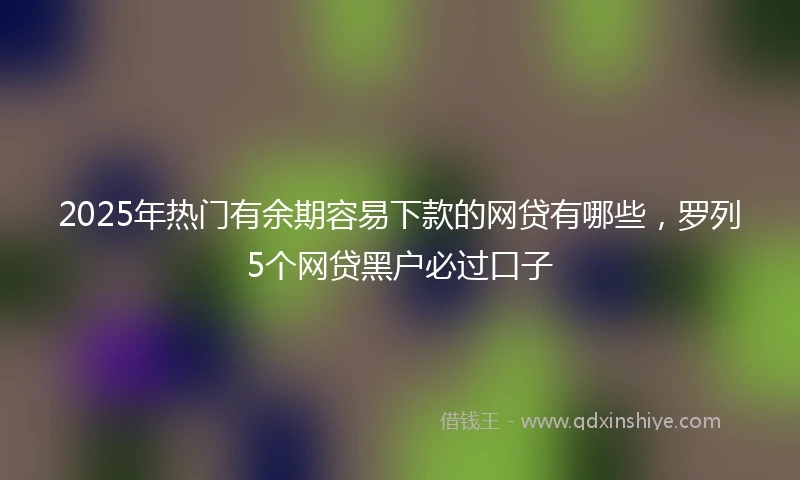 2025年热门有余期容易下款的网贷有哪些，罗列5个网贷黑户必过口子