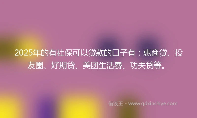 2025年的有社保可以贷款的口子有：惠商贷、投友圈、好期贷、美团生活费、功夫贷等。