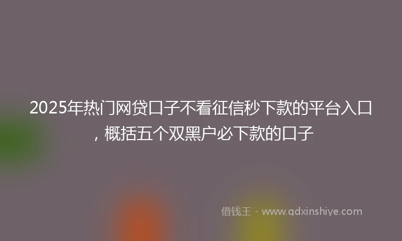 2025年热门网贷口子不看征信秒下款的平台入口，概括五个双黑户必下款的口子
