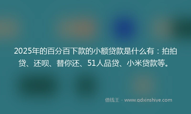 2025年的百分百下款的小额贷款是什么有：拍拍贷、还呗、替你还、51人品贷、小米贷款等。