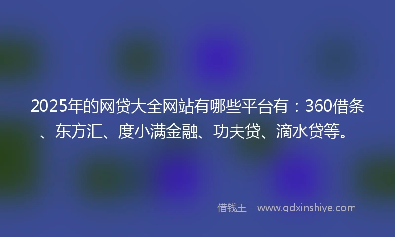 2025年的网贷大全网站有哪些平台有：360借条、东方汇、度小满金融、功夫贷、滴水贷等。