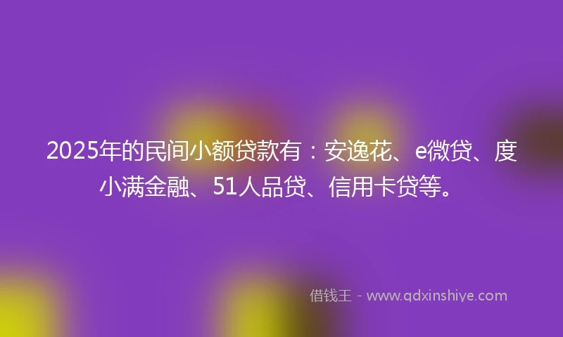 2025年的民间小额贷款有：安逸花、e微贷、度小满金融、51人品贷、信用卡贷等。