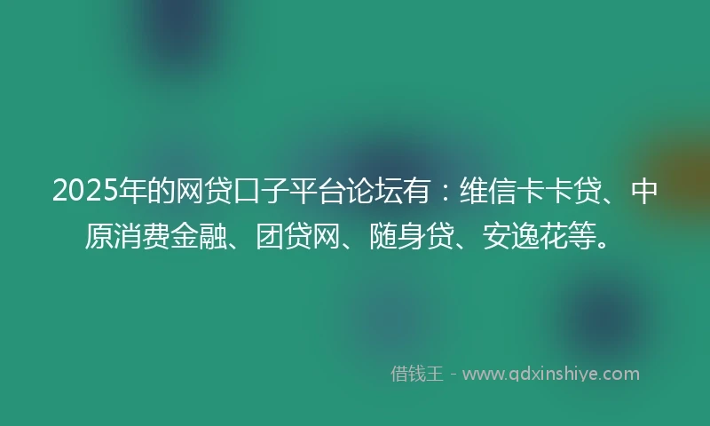 2025年的网贷口子平台论坛有：维信卡卡贷、中原消费金融、团贷网、随身贷、安逸花等。