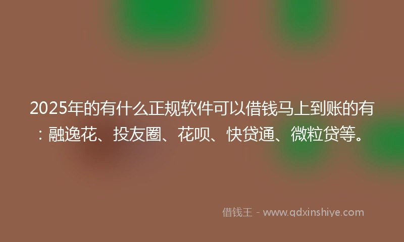 2025年的有什么正规软件可以借钱马上到账的有：融逸花、投友圈、花呗、快贷通、微粒贷等。