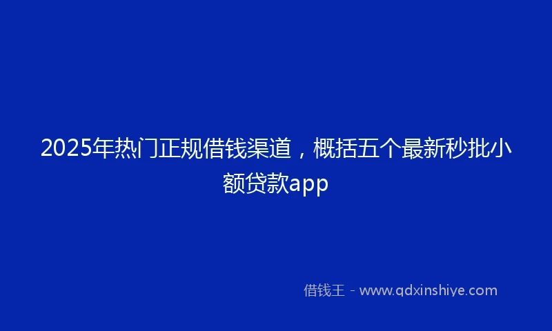 2025年热门正规借钱渠道，概括五个最新秒批小额贷款app