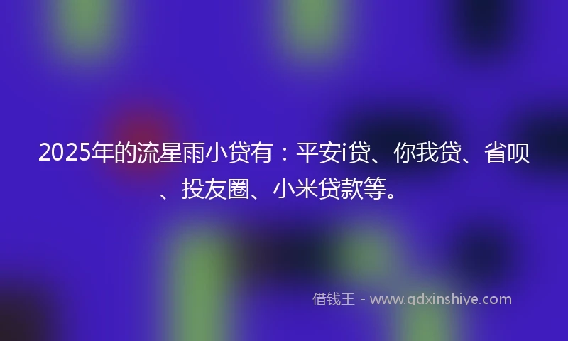 2025年的流星雨小贷有：平安i贷、你我贷、省呗、投友圈、小米贷款等。