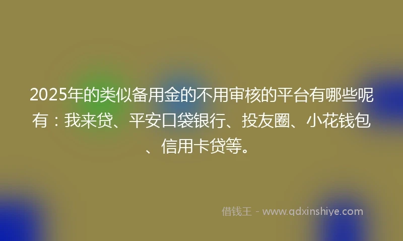 2025年的类似备用金的不用审核的平台有哪些呢有：我来贷、平安口袋银行、投友圈、小花钱包、信用卡贷等。