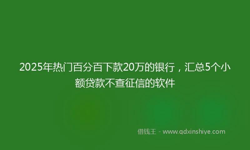 2025年热门百分百下款20万的银行，汇总5个小额贷款不查征信的软件
