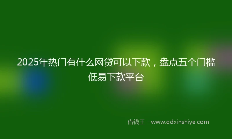 2025年热门有什么网贷可以下款，盘点五个门槛低易下款平台