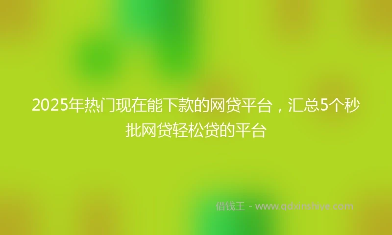 2025年热门现在能下款的网贷平台，汇总5个秒批网贷轻松贷的平台