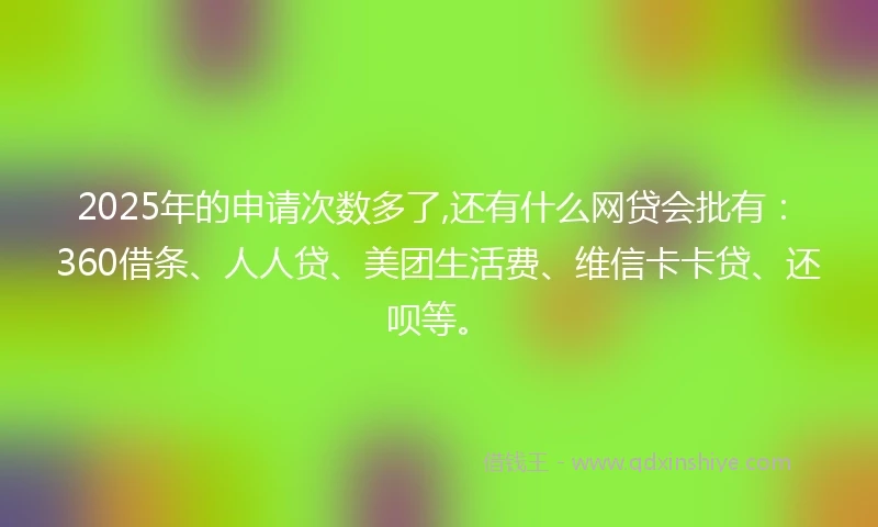 2025年的申请次数多了,还有什么网贷会批有：360借条、人人贷、美团生活费、维信卡卡贷、还呗等。