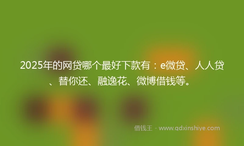 2025年的网贷哪个最好下款有：e微贷、人人贷、替你还、融逸花、微博借钱等。