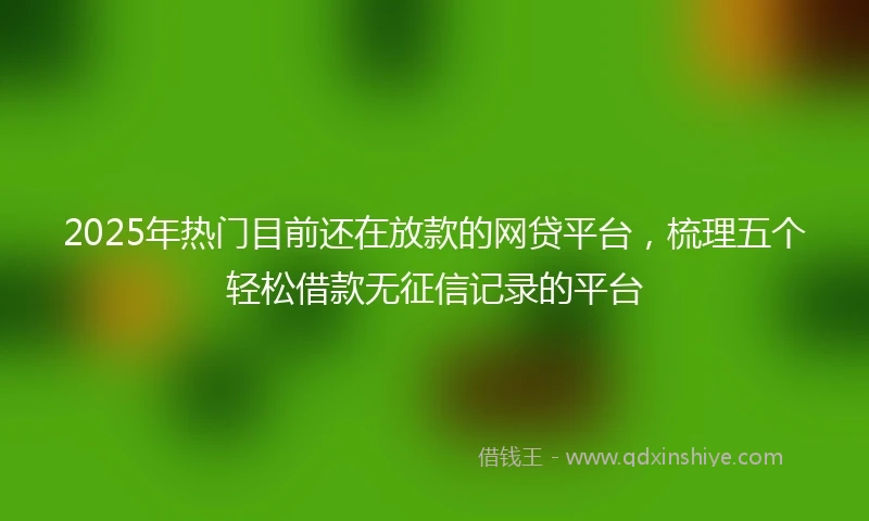 2025年热门目前还在放款的网贷平台，梳理五个轻松借款无征信记录的平台