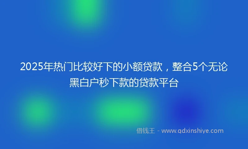 2025年热门比较好下的小额贷款，整合5个无论黑白户秒下款的贷款平台