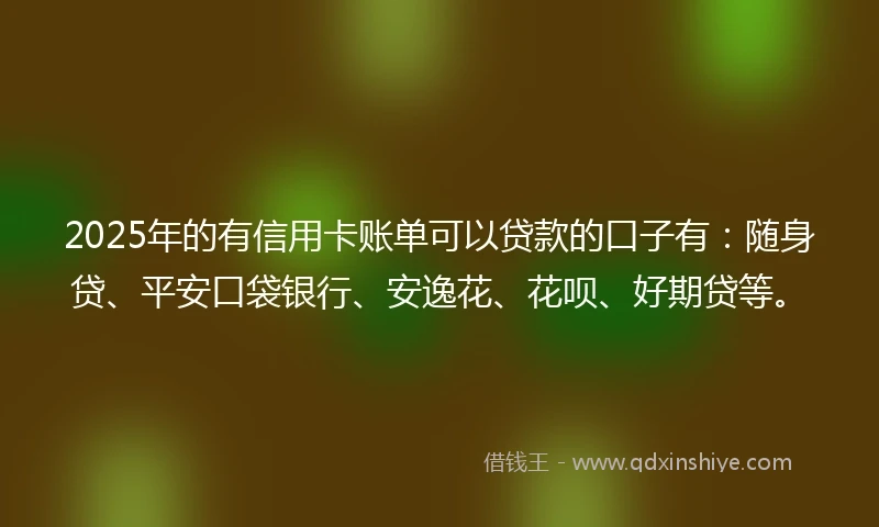 2025年的有信用卡账单可以贷款的口子有：随身贷、平安口袋银行、安逸花、花呗、好期贷等。