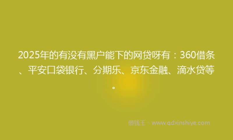 2025年的有没有黑户能下的网贷呀有：360借条、平安口袋银行、分期乐、京东金融、滴水贷等。