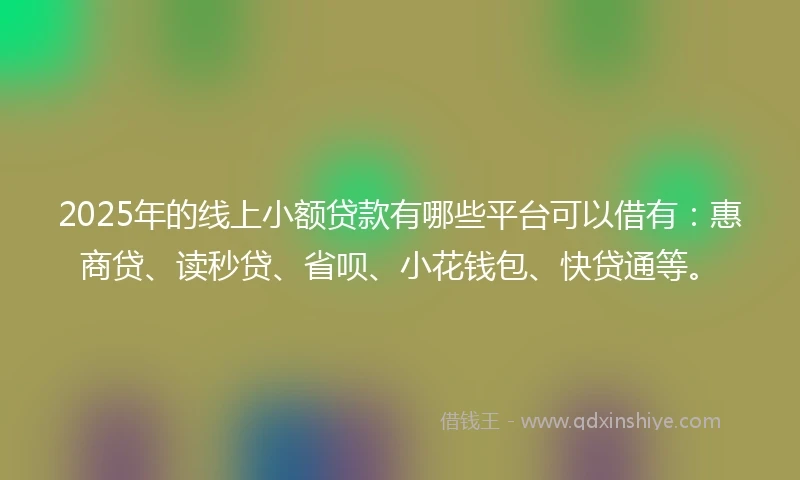 2025年的线上小额贷款有哪些平台可以借有：惠商贷、读秒贷、省呗、小花钱包、快贷通等。
