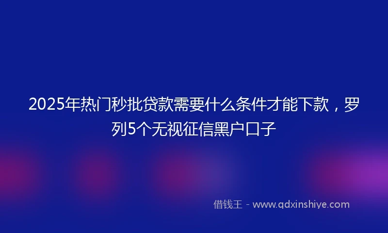 2025年热门秒批贷款需要什么条件才能下款，罗列5个无视征信黑户口子
