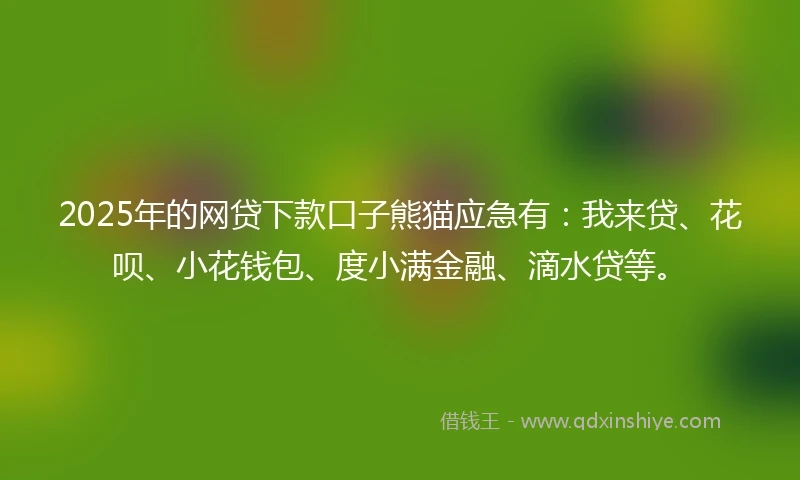 2025年的网贷下款口子熊猫应急有：我来贷、花呗、小花钱包、度小满金融、滴水贷等。