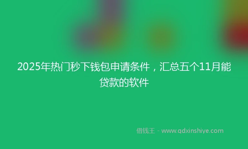 2025年热门秒下钱包申请条件，汇总五个11月能贷款的软件