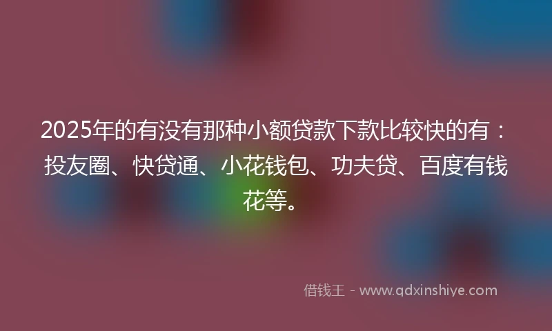 2025年的有没有那种小额贷款下款比较快的有：投友圈、快贷通、小花钱包、功夫贷、百度有钱花等。