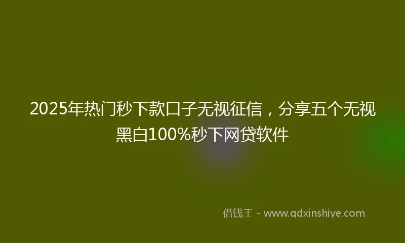 2025年热门秒下款口子无视征信，分享五个无视黑白100%秒下网贷软件