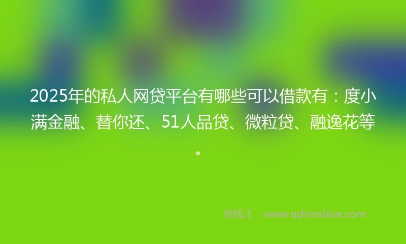 2025年的私人网贷平台有哪些可以借款有：度小满金融、替你还、51人品贷、微粒贷、融逸花等。