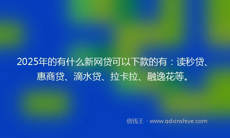 2025年的有什么新网贷可以下款的有：读秒贷、惠商贷、滴水贷、拉卡拉、融逸花等。