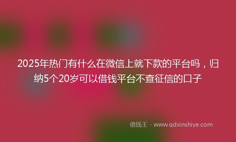 2025年热门有什么在微信上就下款的平台吗，归纳5个20岁可以借钱平台不查征信的口子