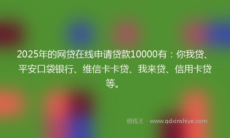 2025年的网贷在线申请贷款10000有：你我贷、平安口袋银行、维信卡卡贷、我来贷、信用卡贷等。